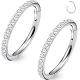 Uzgtvy Aros de titanio para la nariz, 20G, 18G, 16G, G23, con bisagras, para tabique, nariz, hélice, daith, rook, cartílago, tragus, segmento, anillo de labio, joyería para mujeres y hombres, 8 mm, 10