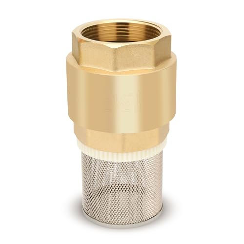 Foot Valve with Filter 2-1/2" NPT, Brass Bottom Valve, Non Return Spring Vertical Check Valve to Filter Impurities, Prevent Backflow of Media for Water Pump, Irrigation, Industrial Piping System DN65