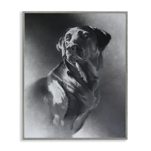 Charcoal Labrador Portrait Vintage Pet, 16 x 20 Inch Framed Giclée Print