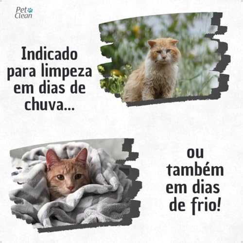 Kit Banho a Seco Gatos + Lenço Umedecido com Aloe Vera Gatos Pet Clean