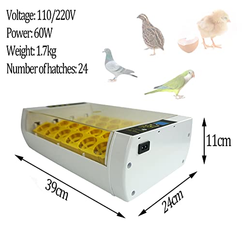 ZQWOZQ Automatische Eggs Brutmaschine, Intelligent, Konstanttemperaturregelung Inkubator Für 24 Eier, Klein Heimat… – Bild 3