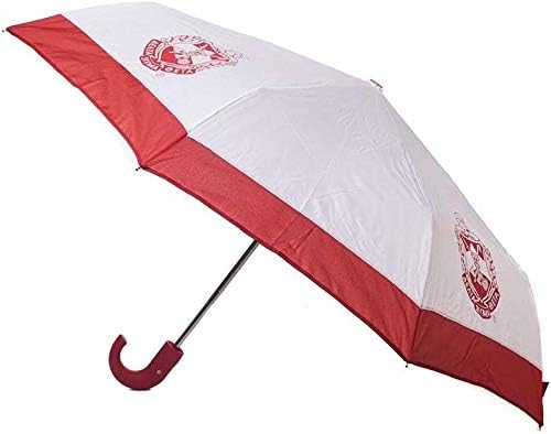 Delta Sigma Theta Sorority Mini Hurricane Umbrella