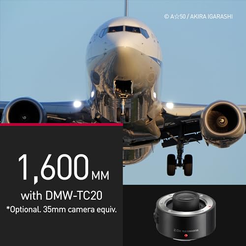 Panasonic Lumix H RSA100400 - vue 10