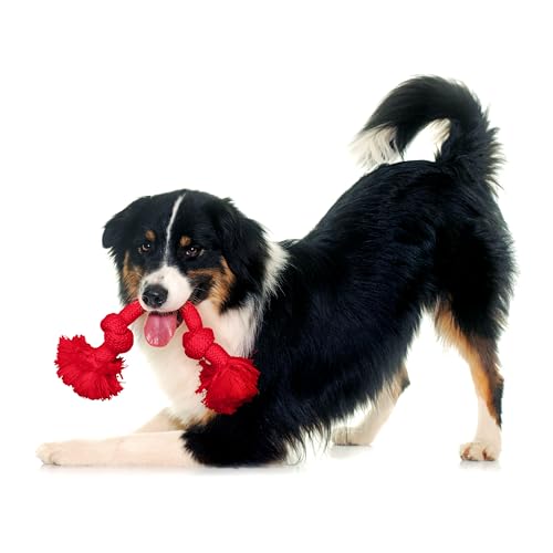 Playology Dog Toys | Dri-Tech Rope Tug of War Dog Toy for Tough Chewers | Beef Scented Medium Tug Rope Toys for Dogs - Image 4