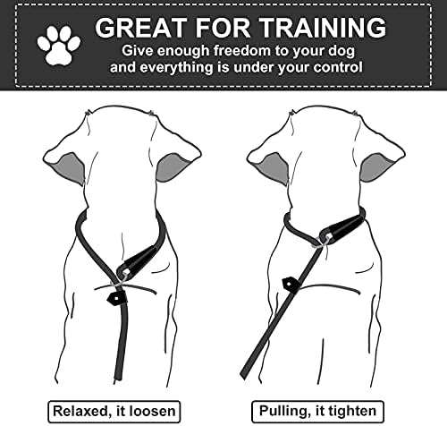 Dog Slip Leads Leash, 4.5FT Durable Puppy Rope Leashes Collar Nylon Dog Training Walking Lead Leashes for Small Medium Dogs (Black)