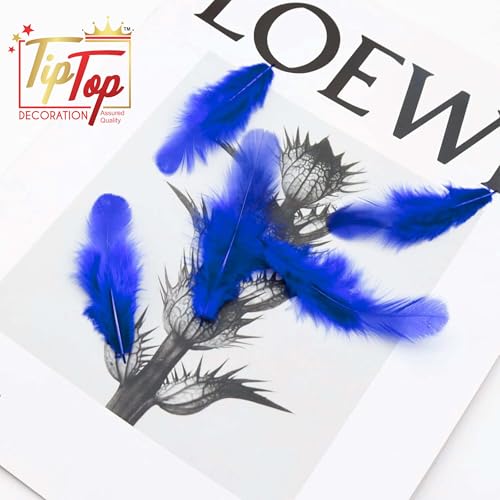 Image of TIPTOP DECORATION Natural Dyed Feathers 10 cm (80 Pieces) (Royal Blue)