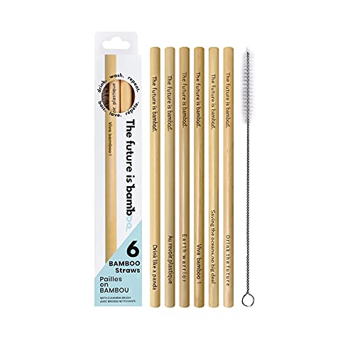 The Future is Bamboo - Bamboo Straws Reusable Biodegradable 6 Pack