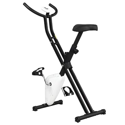 BARWING Fitness Bike, Stepless Adjustable Panel, Kuwait Ubuy