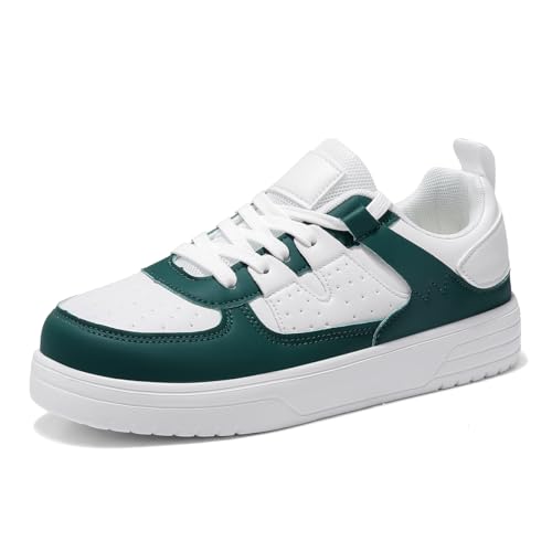 [Vedica] Y Xj[J[   XP[g{[hV[Y [Jbg X|[cV[Y JWA ^C EH[LOV [Y [XAbvV [Y AEghA ʊw ʋ  L y  ₷ l 풅p (zC