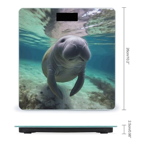 Báscula digital para baño con diseño de manatí y vidrio templado miniatura 2