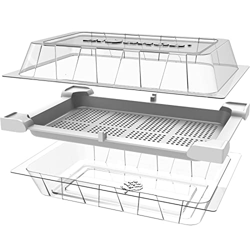 Foto von BROWIN® Keimsprossenbox zur Anzucht von Keimsprossen 745748 | Sprossenhaus mit Deckel und Keimschalen | Keimgerät für Kresse Samen, Alfalfa Sprossen, Rucola Samen | inkl Rettichsamen