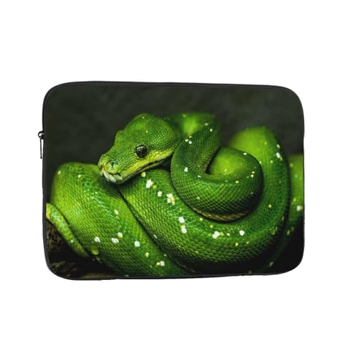 Ή wr  ঒ 10 Inch PcP[X Pc[Jo m[gpc P[X rWlX 