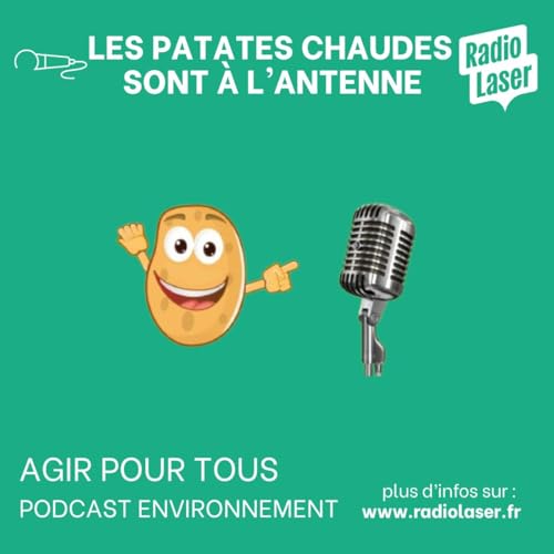 Page de couverture de Les Patates Chaudes sont &agrave; l'antenne