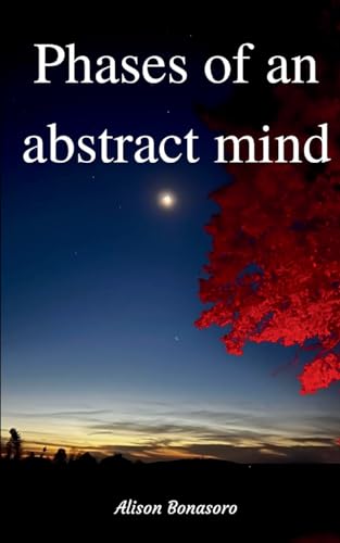 Phases of an abstract mind