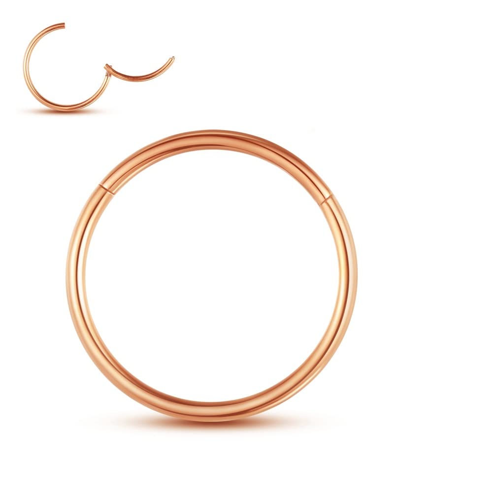 Yaoyaoyors14G/16G/18G/20G Stainless-Steel Single/Double Hoop Piercing-Ring Hinged Nose Rings Earrings Septum Opal Jewelry Conch Segment Clicker Lip Rings cartilage Earrings 6MM/8MM/10MM/12MM