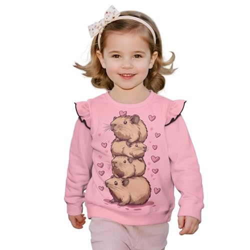 DISNIMO Shirts Toddler Girl Sweatshirts Crewneck Sweatshirts Pullover Kids Long Sleeve Shirts Ruffle Fall Clothes Outfit