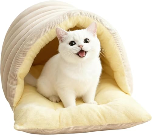 Qtouzkul h[^xbh  L xbh h[ ~ɒgLpxbh gASɖꂽybgpxbh NbVt KŒgvbVn OĐ􂦂܂ 킢fUC LƏ^ɓKĂ܂(x[W,57*37*28c