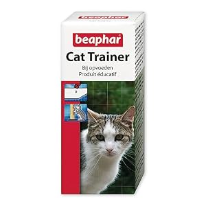 Beaphar – educator for cat trainer cats