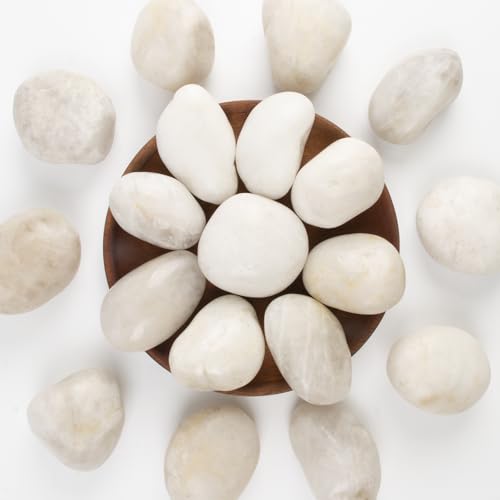 River Rocks - Natural Polished White Pebbles, 2-3 inches, 10