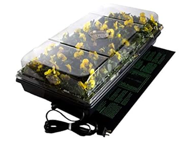 Germination Station with Heat Mat - What You Didn't Know It Could Do 2 germination station with heat mat