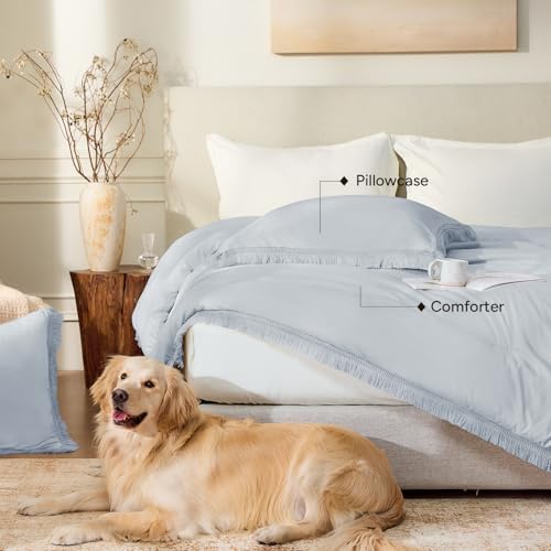 Image of Andency Light Grey Comforter Set Queen, 3 Pieces Boho Tassel Lightweight Bedding Comforter Sets, All Season Soft Fluffy Fringe Bed Set (90x90In Comforter & 2 Pillowcases)