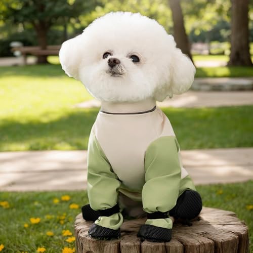 Botas para perro con tirantes que evitan arañazos en madera 3