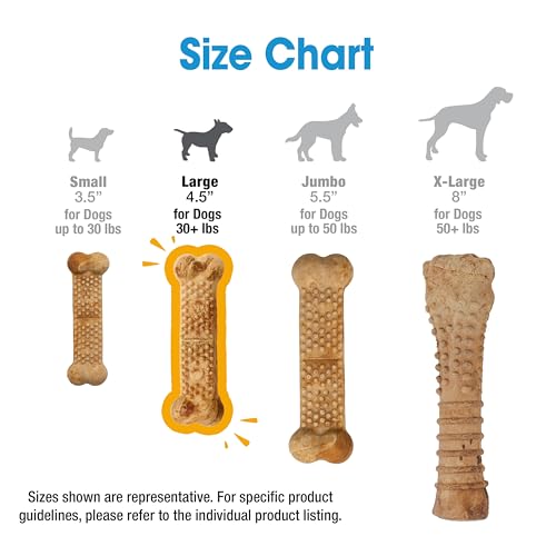 Image of Nylabone Nubz Natural Dog Treats Made with Real Chicken, Large, 2 Count | Long lasting dog chews, made in the USA, limited ingredients, highly digestible, dog dental treats for large dogs 30+ lbs