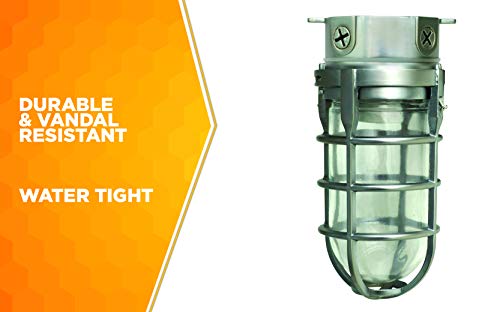 Woods L1706 Vandal Resistant Security Light With Ceiling Mount (150W Incandescent Bulb; Silver) #TOP5