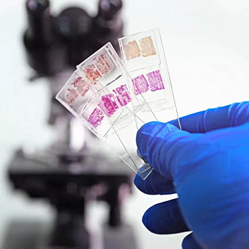 Zenfun 300 Pcs Microscope Slides And Covers, Blank Glass Slides For Microscope Set - 300 Slides, 300 Coverslips, For Microscopy Experiments And Analysis, Education #TOP4
