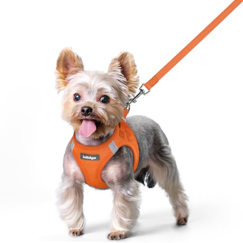 Image of rabbitgoo Dog Harness Small Sized and Leash Set, Step-in Puppy Pet Vest