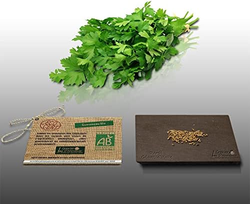 Lot De 11 Sachets De Graines Aromatiques Herbes De Provence - Basilic, Thym, Romarin, Sauge...