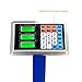 660lbs Digital Heavy Duty Shipping and Folding Postal Scale with 19.68