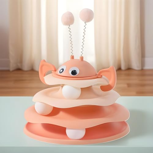 Jeux interactifs pour enrichir la stimulation mentale du chat d'intérieur - 4