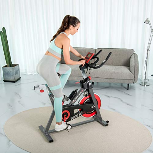 Bicicletas Estáticas Spinning 24Kg Marca FIT-FORCE