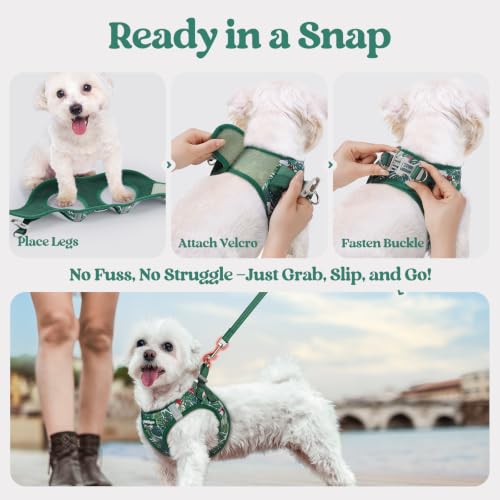 Image of rabbitgoo Dog Harness Small Sized and Leash Set, Step-in Puppy Pet Vest