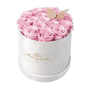 16 Pink Preserved Flowers in Round ...