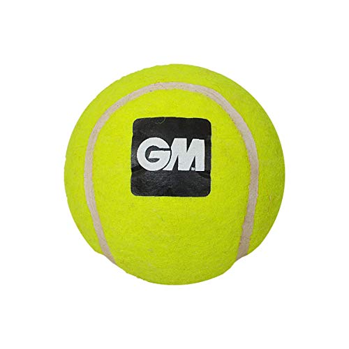 Image of GM Light Tennis Cricket Ball (Yellow)