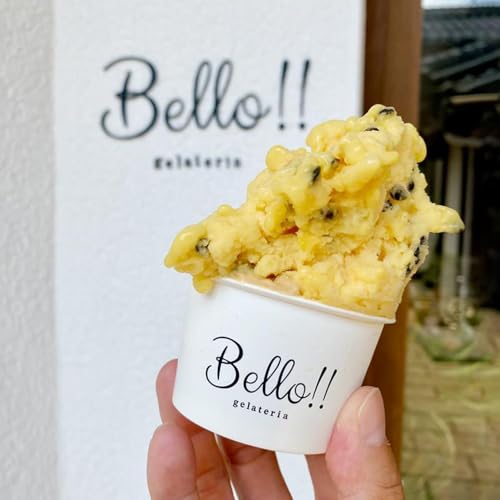 [無添加・無着色]手作り ジェラート プレミアムアソート A