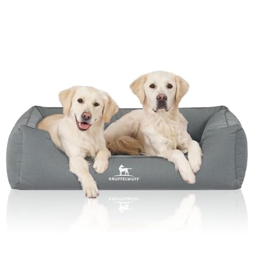 Knuffelwuff Orthopädisches Wasserabweisendes Hundebett Leon XXL 120 x 85cm Petrol