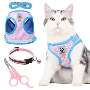 TYXHXTF Harnais Chat Anti évasion Ensemble, ...
