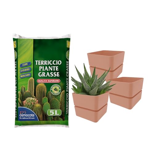 Virsus Kit Sacca Terriccio Piante Grasse 072 da 5LT + 3 Vasi quadrati con sottovaso 312 misura 12x11cm, Terriccio elevata capacità drenante, vaso per interno ed esterno per piante grasse (Old Rose)