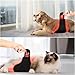 Portable Infrared Red Light Therapy Belt for Dogs & Cats - Pain Relief & Muscle Recovery - Wearable Self-Timed Device for Injuries, Tissue Repair & Joint Support