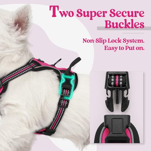 Image of rabbitgoo Dog Harness No Pull with 2 Leash Clips, Adjustable Soft Padded, Reflective Oxford No Choke Pet Vest with Easy Control Handle for Puppy, Hot Pink, XS