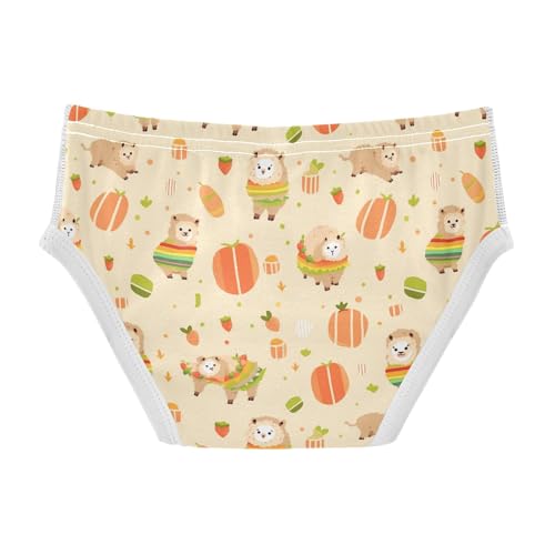 visesunny Boys Potty Training Underwear Cartoon Colorful Alpaca Breathe Cotton Briefs Size 2T-8Y for Toddler2