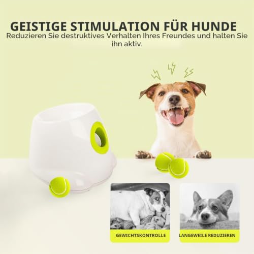 ALL FOR PAWS Automatischer Hundeballwerfer, interaktives Apportierspielzeug für kleine bis mittelgroße Hunde, Wurfmaschine für den Innen- und Außenbereich, inklusive 3 Bällen 2 Zoll – Produktbild 5