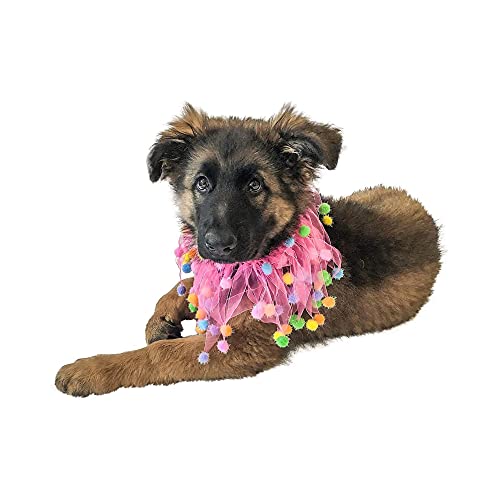 Midlee Pink Birthday Pom Pom Dog Collar (X-Large) #TOP5