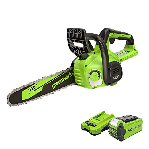 Greenworks 40V 12" Cordless Compact Chainsaw (Great For Storm Clean-Up, Pruning, and Camping), 2.0Ah Battery and Charger Included