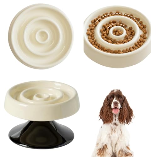 Lifetips AJRbJ[XpjG ARJ Lp X[t[h{E ؐ Hh~ ~ HZbg ^ L  􂢂₷ i-̌^^CvAC{[j