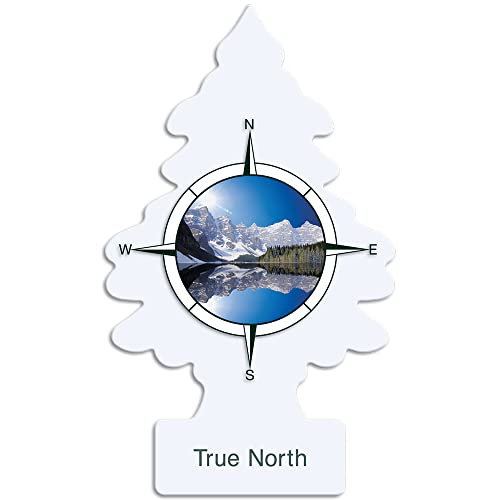 Little Trees Car Air Freshener I Hanging Tree Provides Long Lasting Scent For Auto Or Home I True North, 6-Packs (4 Count) #TOP2