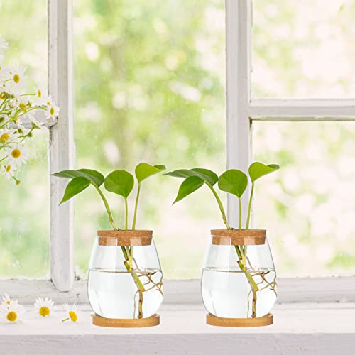 Plants Propagation Station Terrarium Glass Planter Vase Clear Plant Cuttings Holder With Wooden Lid And Bamboo Stand For Growing Hydroponic Plants Home Office Desktop Decoration #TOP1